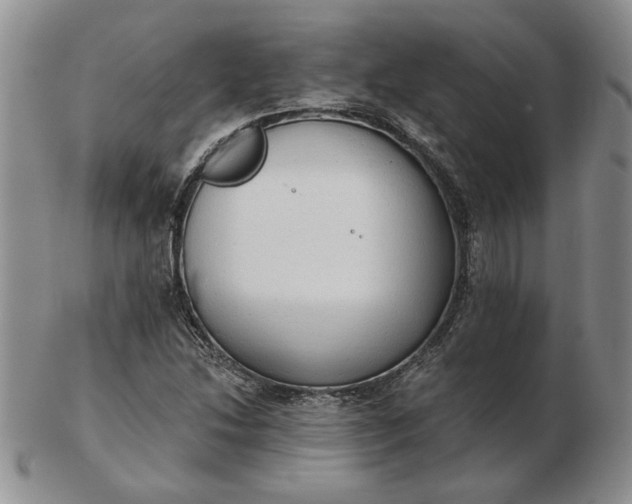 X0000103151214200809051630