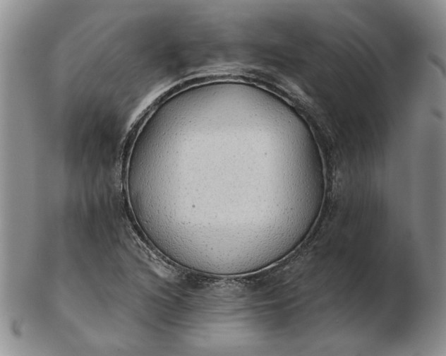 X0000103151216200809051630