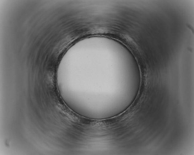 X0000103151217200809051630