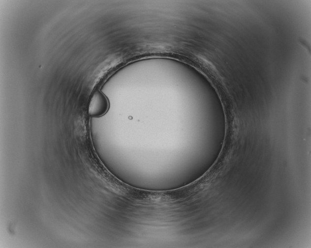 X0000103151218200809051630