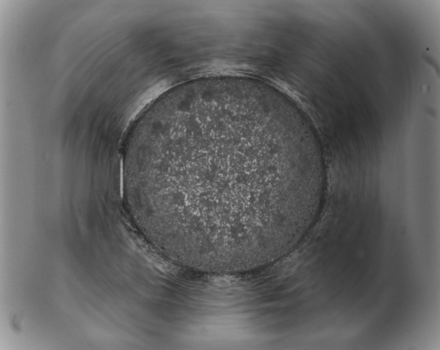 X0000103151219200809051630