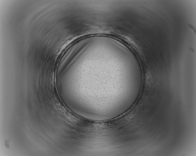 X0000103151220200809051630