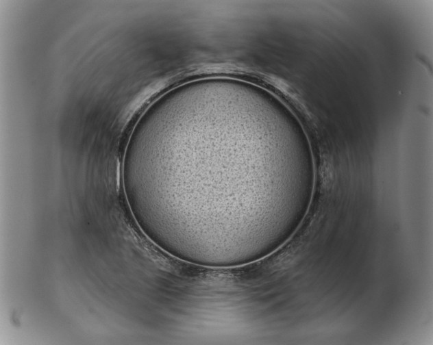 X0000103151221200809051630