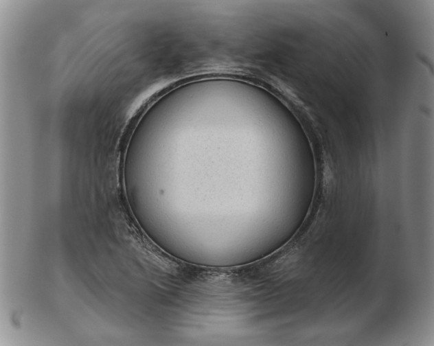 X0000103151222200809051630