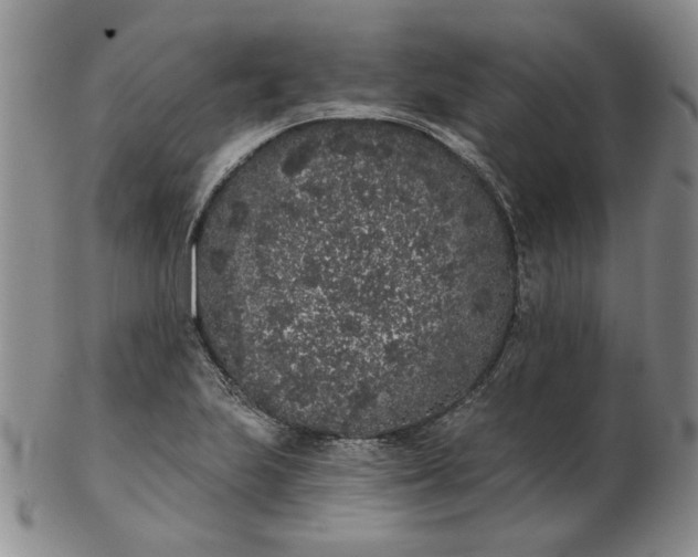 X0000103151223200809051630