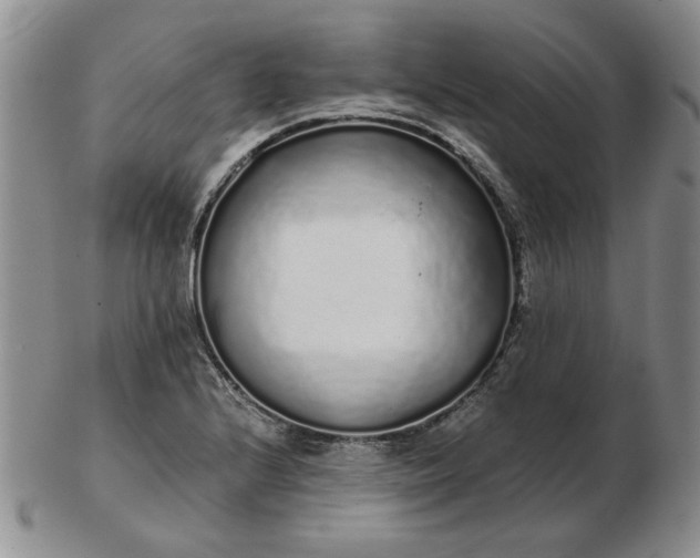 X0000103151224200809051630