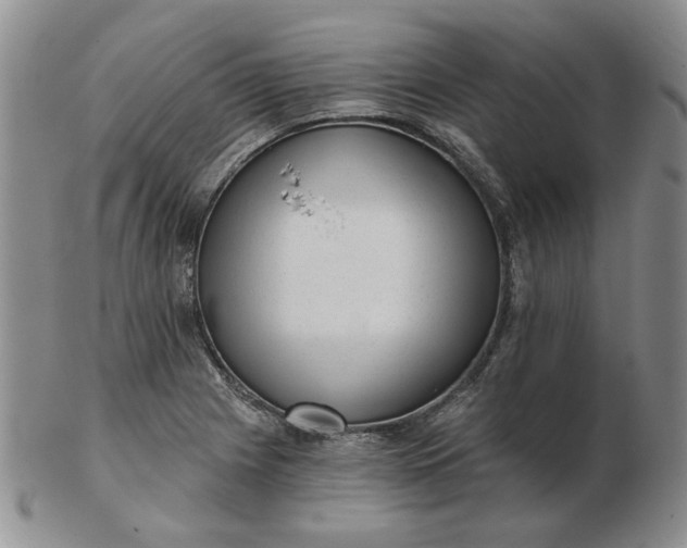 X0000103151225200809051630