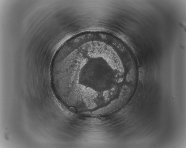 X0000103151229200809051630