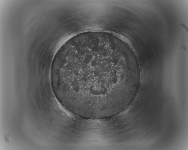 X0000103151231200809051630