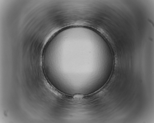 X0000103151232200809051630