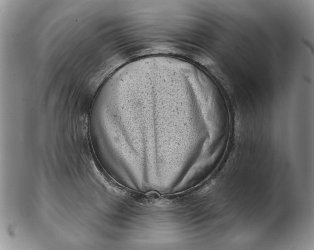 X0000103151233200809051630