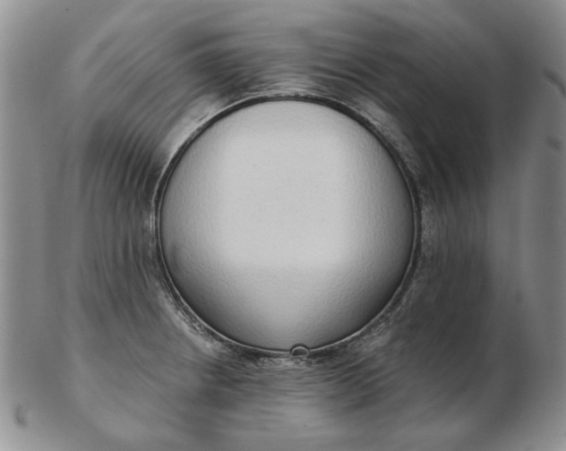 X0000103151234200809051630