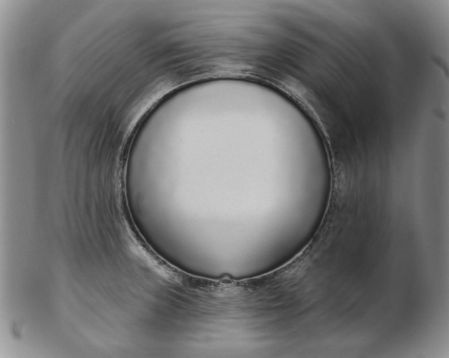 X0000103151235200809051630