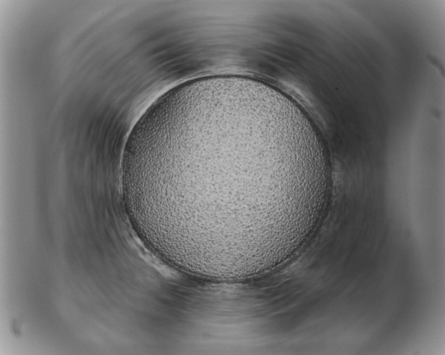 X0000103151236200809051630