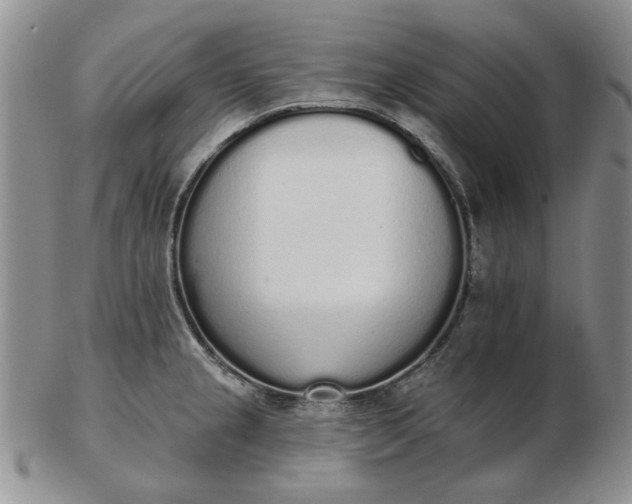 X0000103151237200809051630