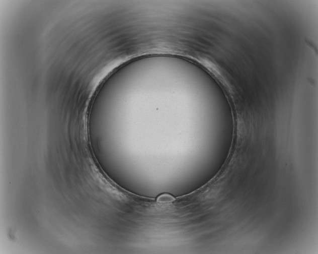 X0000103151238200809051630