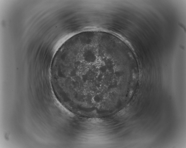 X0000103151239200809051630