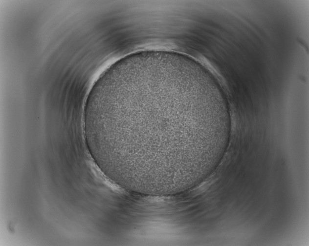 X0000103151240200809051630