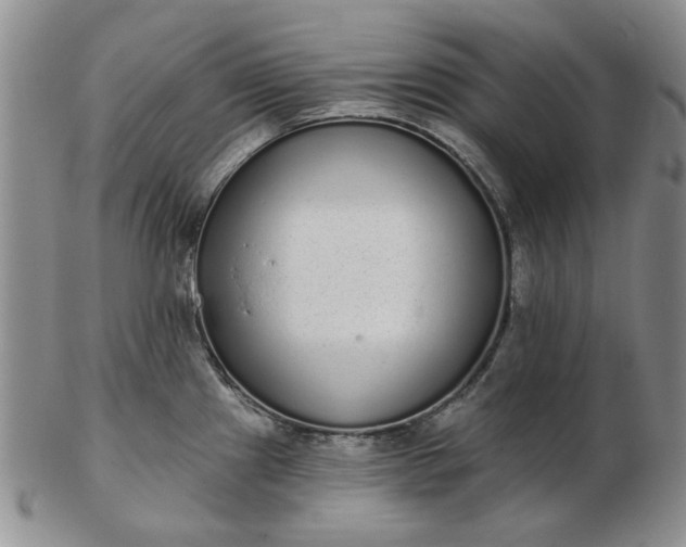 X0000103151241200809051630