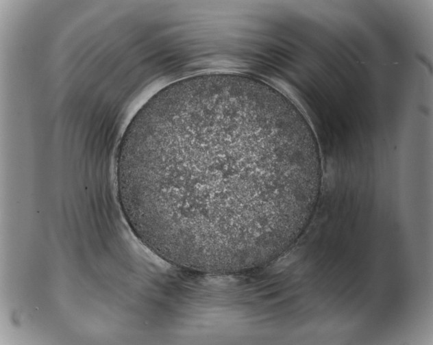 X0000103151243200809051630