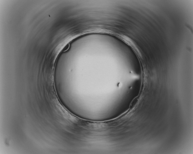 X0000103151244200809051630