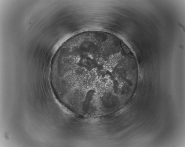 X0000103151245200809051630