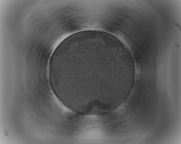 X0000103151246200809051630