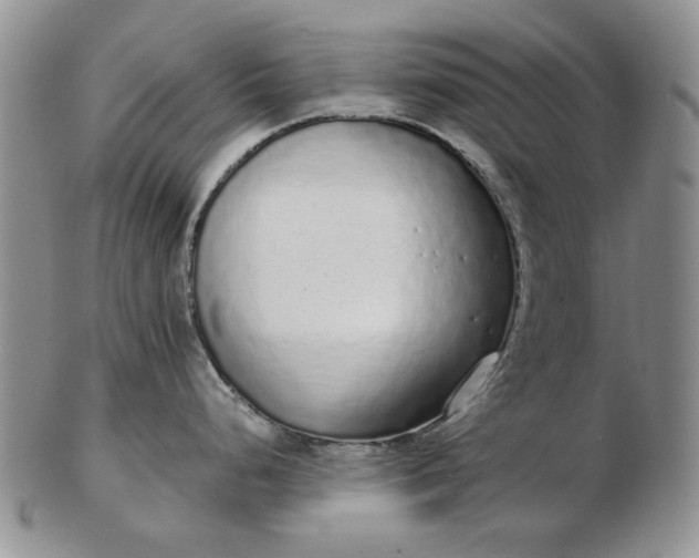 X0000103151248200809051630