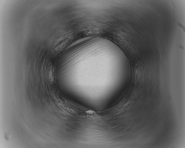 X0000103151250200809051629