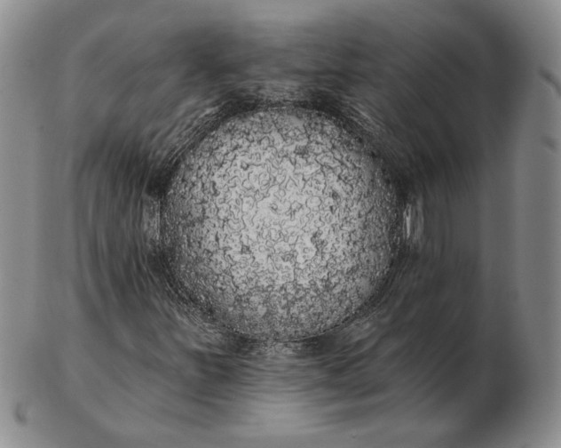 X0000103151251200809051629