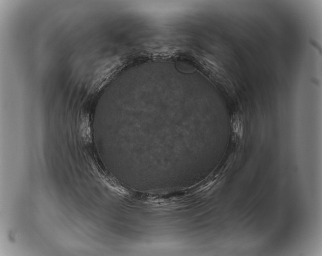 X0000103151252200809051629