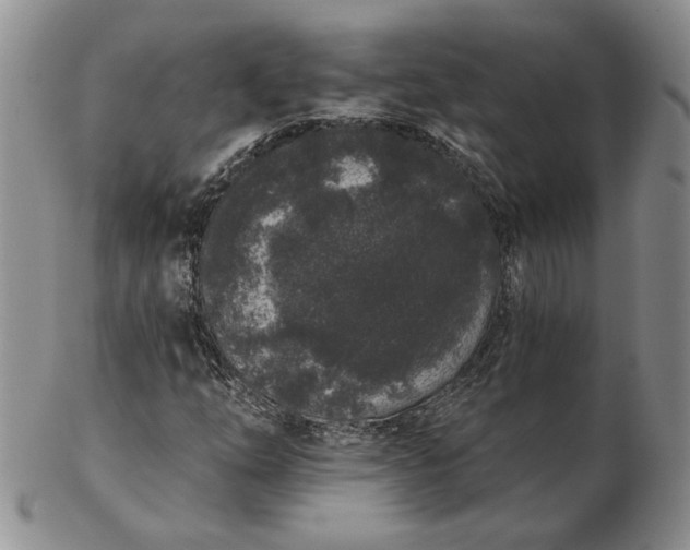 X0000103151254200809051629