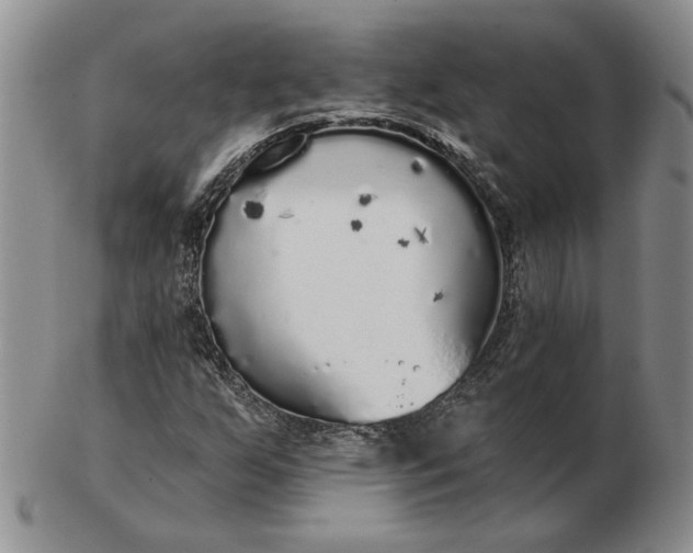 X0000103151255200809051629