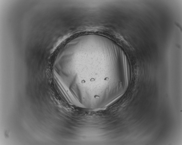 X0000103151256200809051629