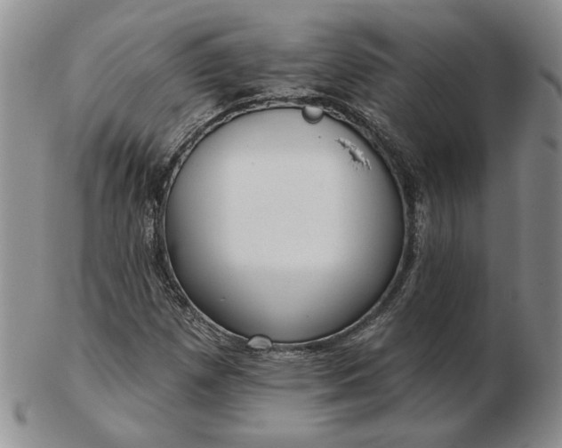 X0000103151257200809051629