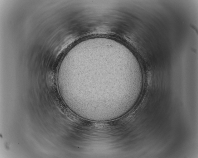 X0000103151258200809051629