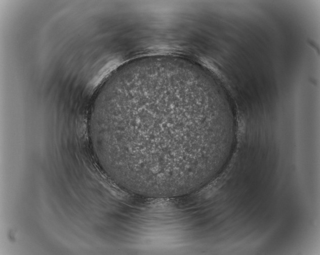 X0000103151259200809051629