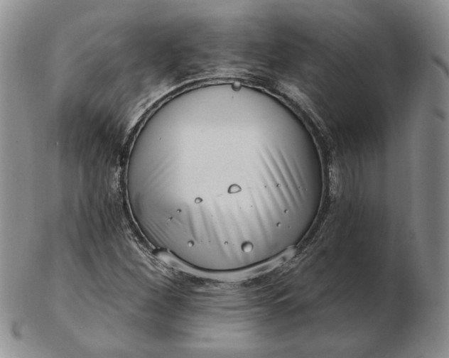 X0000103151260200809051629