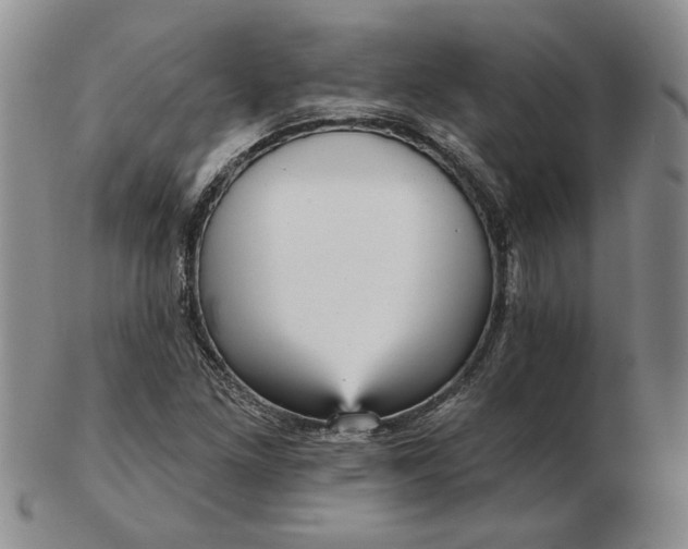 X0000103151261200809051629