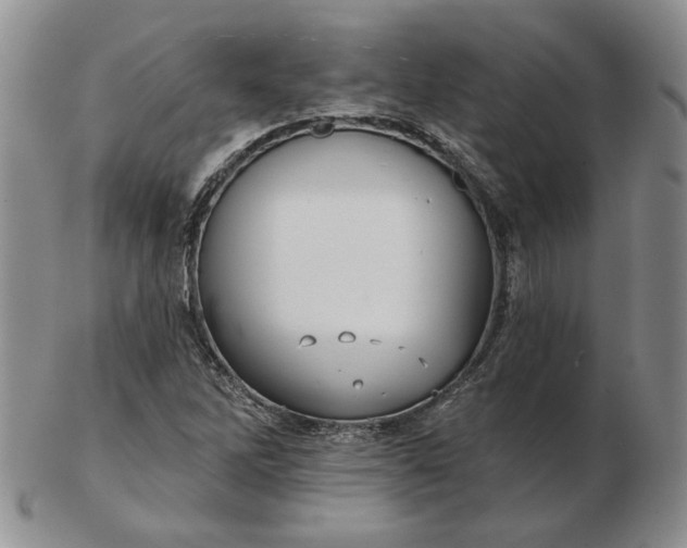 X0000103151262200809051629