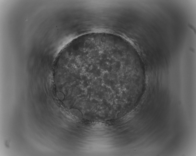 X0000103151263200809051629