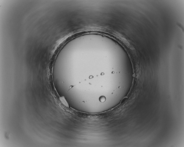 X0000103151264200809051629