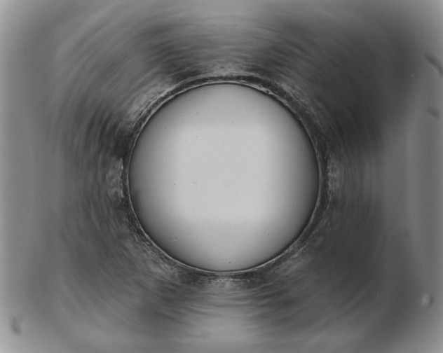 X0000103151265200809051629