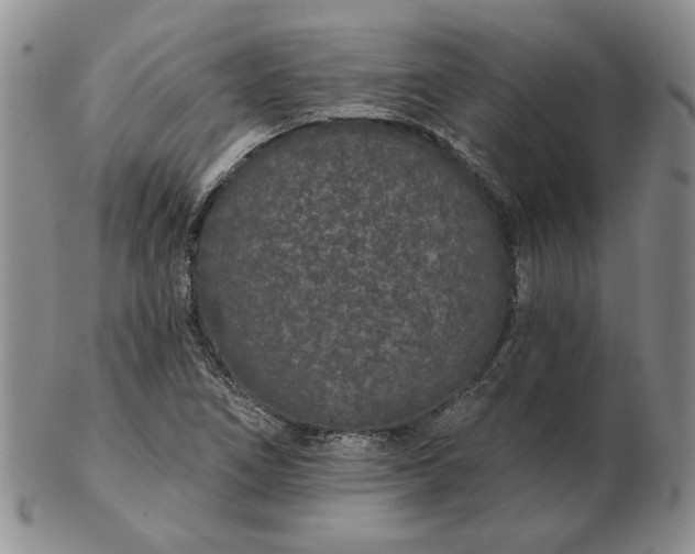 X0000103151266200809051629