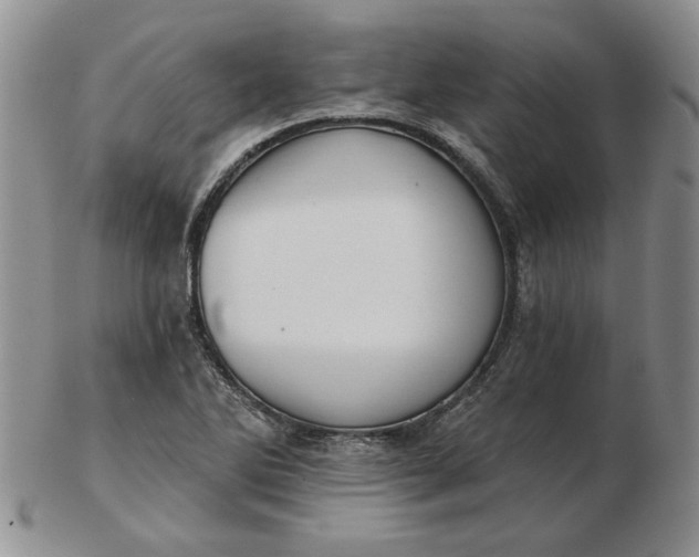 X0000103151270200809051629