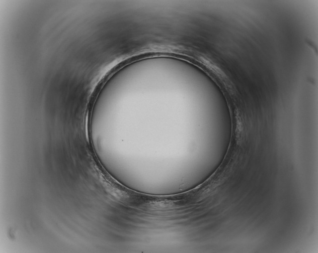 X0000103151272200809051629