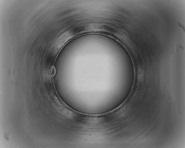 X0000103151273200809051629