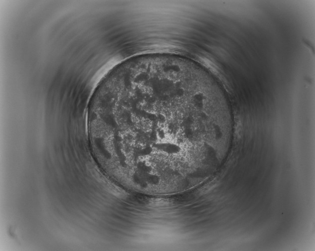 X0000103151275200809051629