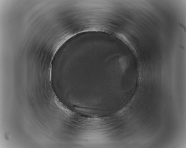 X0000103151276200809051629