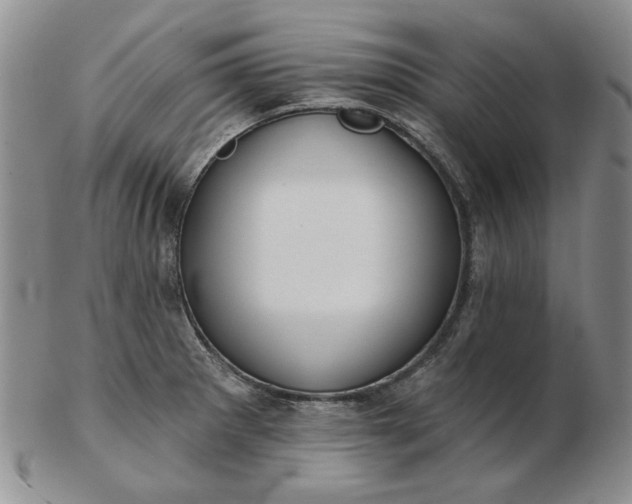 X0000103151281200809051629